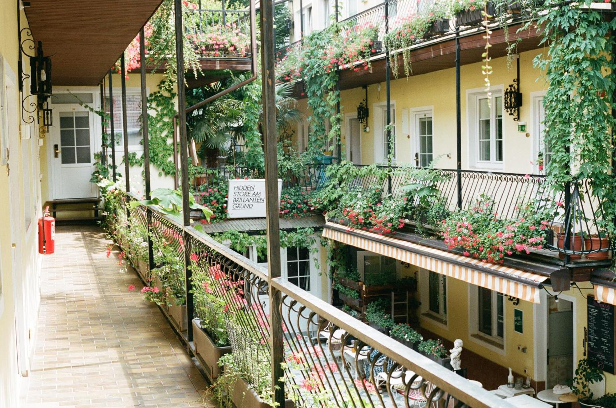 וינה Hotel Am Brillantengrund מראה חיצוני תמונה